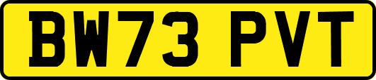 BW73PVT