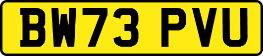 BW73PVU