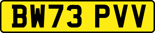 BW73PVV
