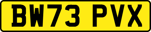 BW73PVX
