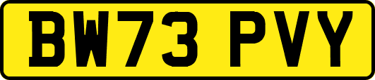 BW73PVY