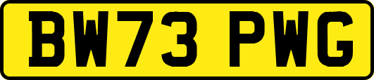 BW73PWG