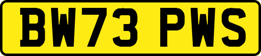 BW73PWS