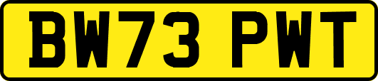 BW73PWT