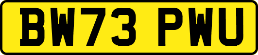BW73PWU