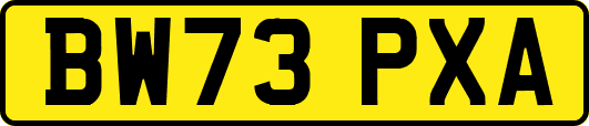 BW73PXA