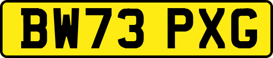 BW73PXG