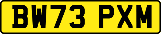 BW73PXM