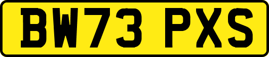 BW73PXS