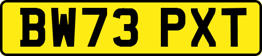 BW73PXT