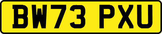 BW73PXU