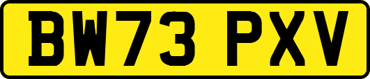 BW73PXV