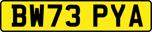 BW73PYA