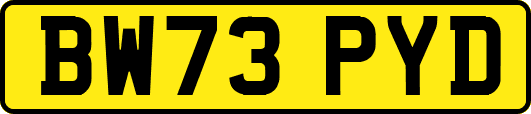 BW73PYD