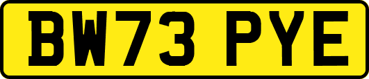 BW73PYE
