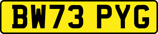 BW73PYG