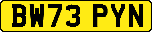 BW73PYN