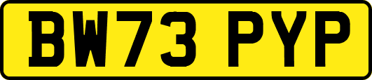 BW73PYP