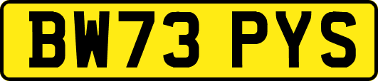 BW73PYS
