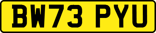 BW73PYU