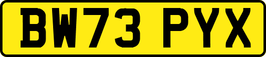 BW73PYX