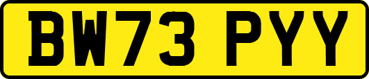BW73PYY
