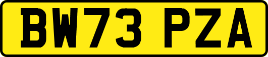 BW73PZA
