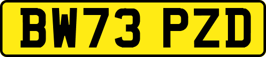BW73PZD