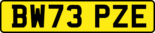 BW73PZE