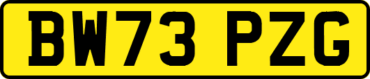 BW73PZG
