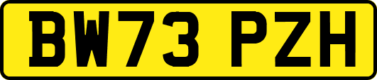 BW73PZH