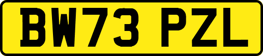 BW73PZL
