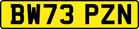 BW73PZN