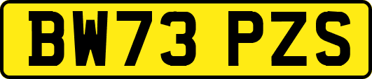BW73PZS