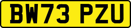 BW73PZU