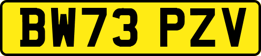 BW73PZV