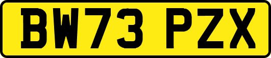 BW73PZX