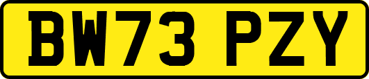 BW73PZY