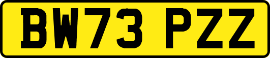 BW73PZZ