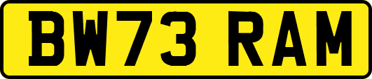 BW73RAM