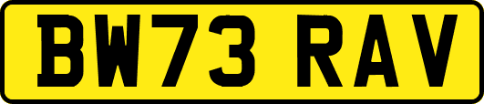 BW73RAV
