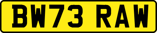 BW73RAW