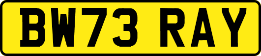 BW73RAY