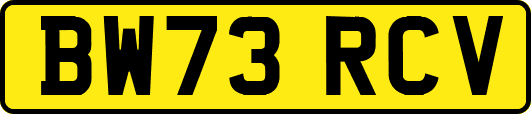 BW73RCV