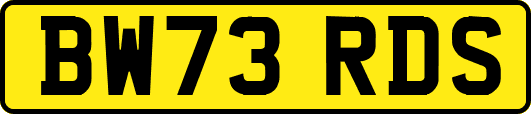 BW73RDS