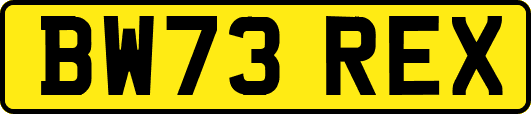 BW73REX