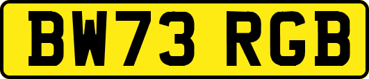 BW73RGB