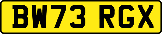 BW73RGX
