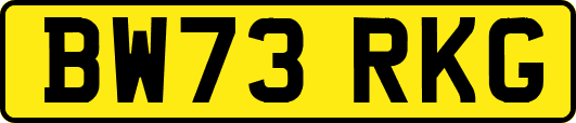 BW73RKG