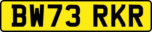 BW73RKR